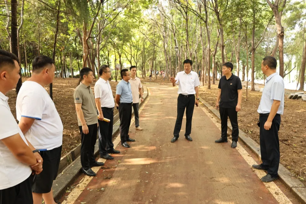 傅龙调研城市品质提升项目并宣讲党的二十届三中全会精神