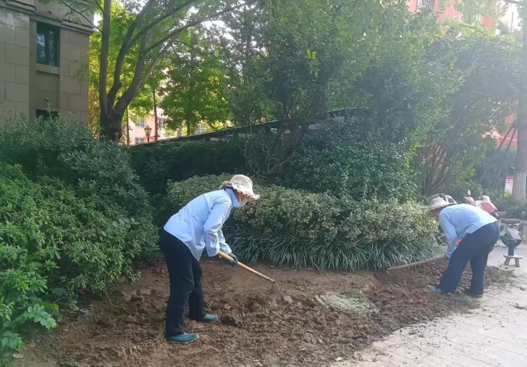 【旧貌换新颜】腾程物业提升小区绿化，打造品质生活