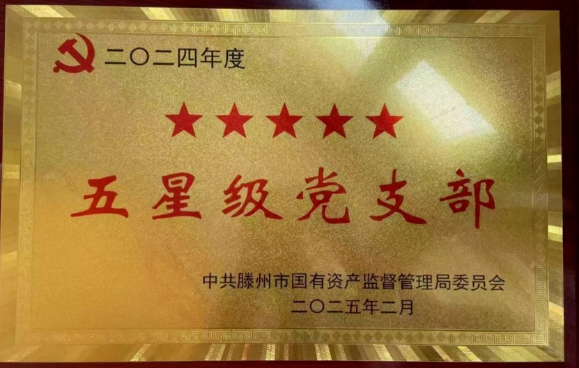 【喜报】PA视讯集团4个党支部获评“五星级党支部”