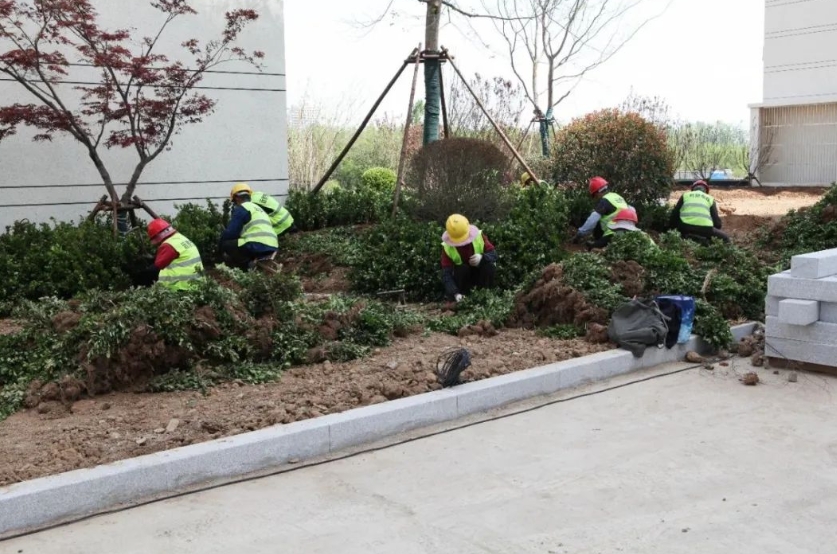 PA视讯发展公司加快冯村项目建设 ，助力百姓“安居梦”