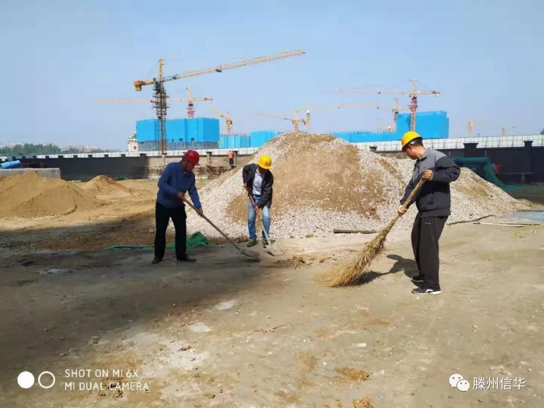 中远公司党支部组织党员干部开展志愿服务