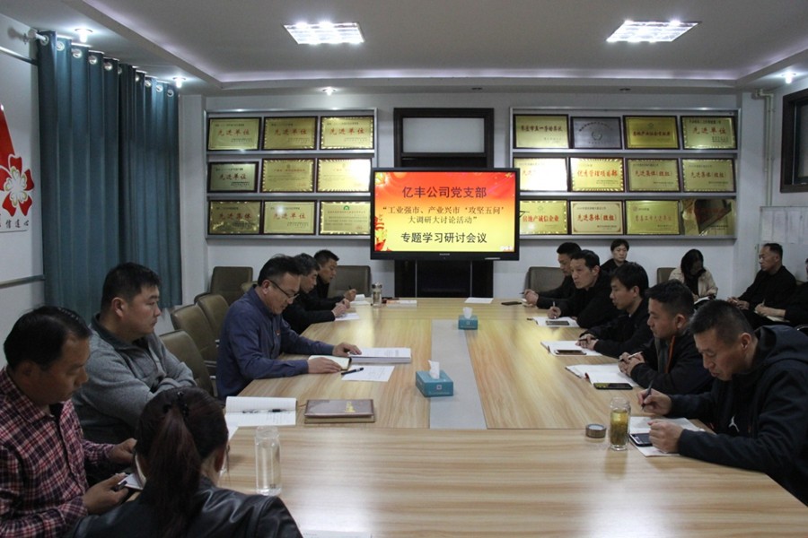亿丰公司党支部开展“工业强市、产业兴市‘攻坚五问’ 大调研大讨论活动”专题研讨会议