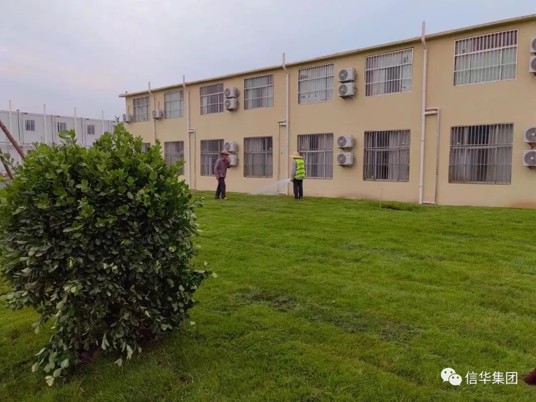 ​远景市政公司顺利完成方舱隔离点园林绿化项目建设