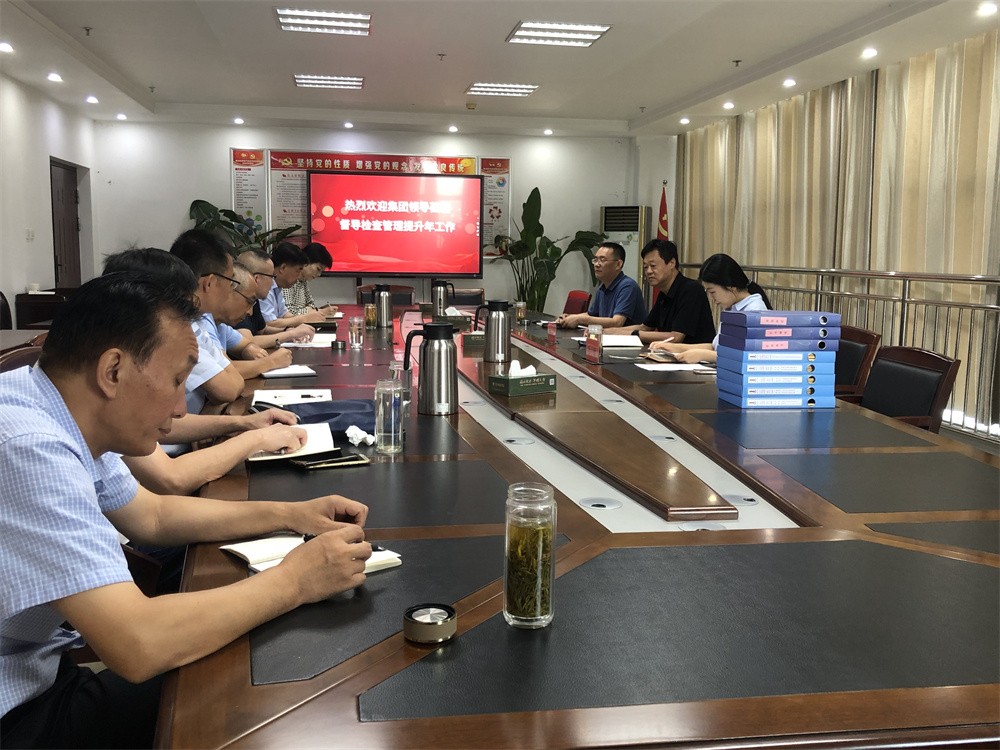 PA视讯集团开展“管理提升年”督导检查活动   