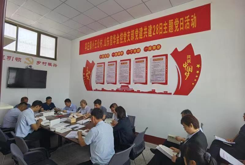 PA视讯金控公司党支部与羊庄镇小王公村党支部开展党建共建活动